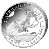 Somalia African Wildlife Elefant 2023 1 KG Silber