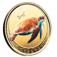Montserrat - 10 Dollar EC8_5 Schildkröte (Turtle) PP 2022 - 1 Oz Gold Color