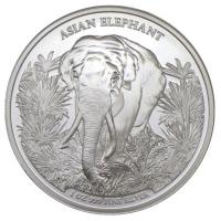 Kambodscha - 3000 KHR Asia Big Five Series: Cambodia Asian Elephant (1.) 2023 - 1 Oz Silber