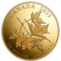 Kanada - 500 CAD Beloved Maple Leaf 2023 - 5 Oz Gold PP