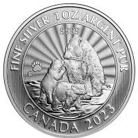 Kanada - 5 CAD Der Majesttische Polarbr 2023  - 1 Oz Silber