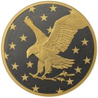 USA 1 USD Silver Eagle  Golden Ring 2023 1 Oz Silber Gilded Rckseite