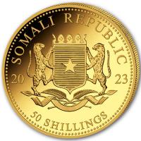 Somalia - 50 Shillings Elefant 2023 - 1/25 Oz Gold