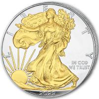 USA 1 USD Silver Eagle 2023 1 Oz Silber Gilded