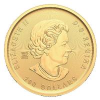 Kanada - 200 CAD Goldrausch Serie (3): Weg des Goldes 2023 - 1 Oz Gold