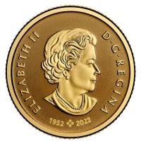 Kanada - 10 CAD Everlasting Maple Leaf 2023 - 1/20 Oz Gold Reverse Proof
