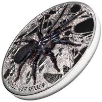 Niue - 10 NZD Trichternetzspinne 2023 - 5 Oz Silber PP Ultra High Relief Color