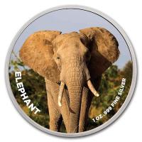USA - San Diego Zoo Elefant - 1 Oz Silber Color Blister