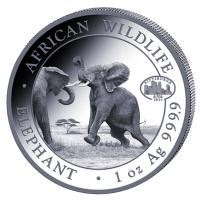 Somalia African Wildlife Elefant 2023 1 Oz Silber Privy ANA