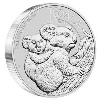 Australien - 30 AUD Koala 2023 - 1 KG Silber