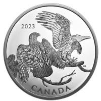 Kanada 30 CAD The Striking Bald Eagle 2023 2 Oz Silber PP