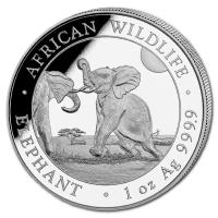 Somalia African Wildlife Elefant 2024 1 Oz Silber