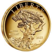 USA 100 USD American Liberty 2023 1 Oz Gold HighRelief