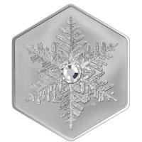 Kanada - 20 CAD Schneeflocke 2023 - 1 Oz Silber Reverse Proof