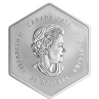 Kanada - 20 CAD Schneeflocke 2023 - 1 Oz Silber Reverse Proof
