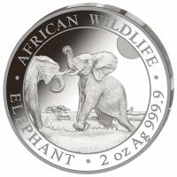Somalia - African Wildlife Elefant 2024 - 2 Oz Silber