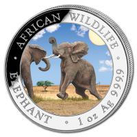Somalia African Wildlife Elefant 2024 1 Oz Silber Color