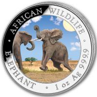 Somalia African Wildlife Elefant Tag und Nacht Set 2024 2*1 Oz Silber Rckseite