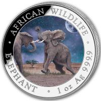 Somalia - African Wildlife Elefant Tag und Nacht Set 2024 - 2*1 Oz Silber