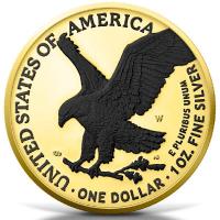 USA 1 USD American Silver Eagle 2023 1 Oz Silber Gilded Black Platinum Rckseite