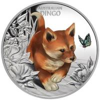 Niue - 1 NZD Süß & Knuddelig (Cute & Cuddly): Baby Dingo (1.) 2024 - 1 Oz Silber PP Color