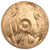 Sdafrika - 50 Rand Big Five Elefant 2024 - 1 Oz Gold BU