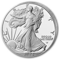 USA 1 USD Silver Eagle 2024 1 Oz Silber PP