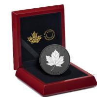 Kanada - 50 CAD Maple Leaf in Motion 2024 - 5 Oz Silber Black Rhodium 
