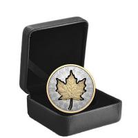 Kanada - 20 CAD Super Incuse Maple Leaf 2024 - 1 Oz Silber