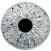 USA Silver Shield MiniMintage: The Eye 2024 1 Oz Silber PP