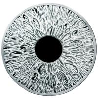 USA - Silver Shield MiniMintage: The Eye 2024 - 1 Oz Silber PP