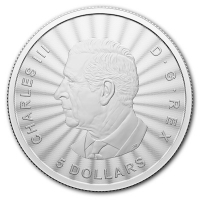 Kanada 5 CAD Der Majesttische Polarbr 2024  1 Oz Silber Rckseite