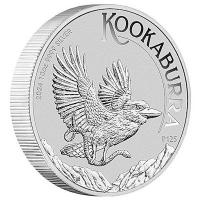 Australien 10 AUD Kookaburra 2024 10 Oz Silber