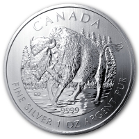 Kanada 5 CAD Wildlife Serie Bison 2013 1 Oz Silber