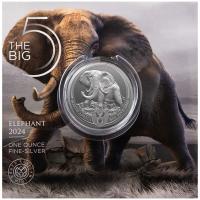 Südafrika - 5 Rand Big Five III Elefant 2024 - 1 Oz Silber