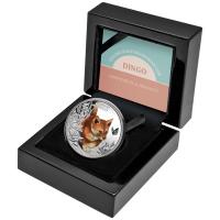  Niue - 1 NZD Süß & Knuddelig (Cute & Cuddly): Baby Dingo (1.) 2024 - 1 Oz Silber PP Color