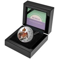 Niue - 1 NZD Süß & Knuddelig (Cute & Cuddly): Baby Numbat (2.) 2025 - 1 Oz Silber PP Color