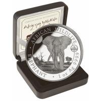 Somalia - African Wildlife Elefant 2025 WMF Berlin - 1 Oz Silber
