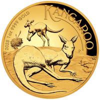 Australien - 100 AUD Känguru 2025 - 1 Oz Gold PP High Relief