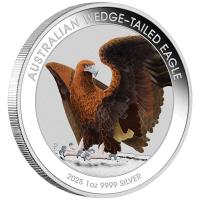 Australien - 1 AUD Wedge Tailed Eagle 2025 - 1 Oz Silber Color BLISTER