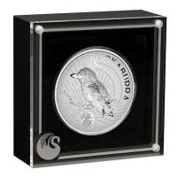 Australien - 8 AUD Kookaburra 2025 - 5 Oz Silber Proof Incused