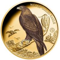 Niue 100 NZD Wedge-tailed Eagle (Privy Mark John Gould) 2025 1 Oz Gold PP Color