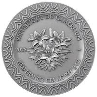 Kamerun 2000 Francs Himmlische Schönheit: Aurora 2025 2 Oz Silber Antik Finish  Rückseite