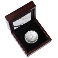 Südafrika - Krügerrand 2025 - 5 Oz Silber Polierte Platte
