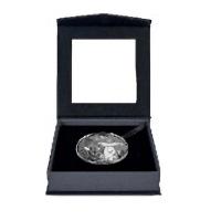 Niue - 1 NZD Alien Entführung (Alien Abduction) 2025 - 1 Oz Silber Black Proof