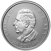 Kanada 300 CAD Maple Leaf Forever 2025 1 Oz Platin Reverse Proof Rückseite