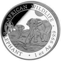 Somalia African Wildlife Elefant 2025 1 Oz Silber Privy ANA Oklahoma City