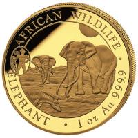 Somalia - 1000 Shillings Elefant 2025 - 1 Oz Gold Privy ANA Oklahoma City (RAR nur 100!!!)