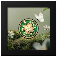 Cook Island - 5 CID Immergrüner Klee (Clover) 2025 - 1 Oz Silber PP Gilded