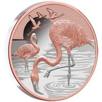 Niue - 1 NZD Flamingo 2025 - 1 Oz Silber PP Color